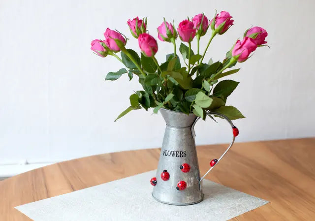 Magneten lieveheersbeestjes