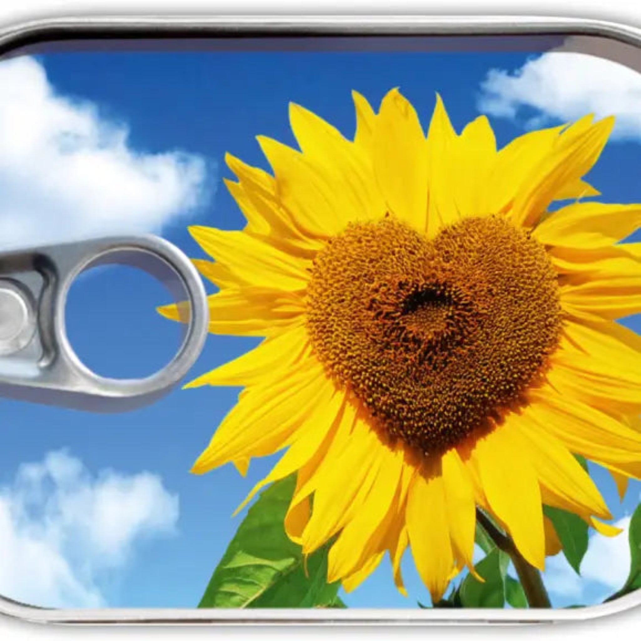 Zonnebloem - cadeau in blik