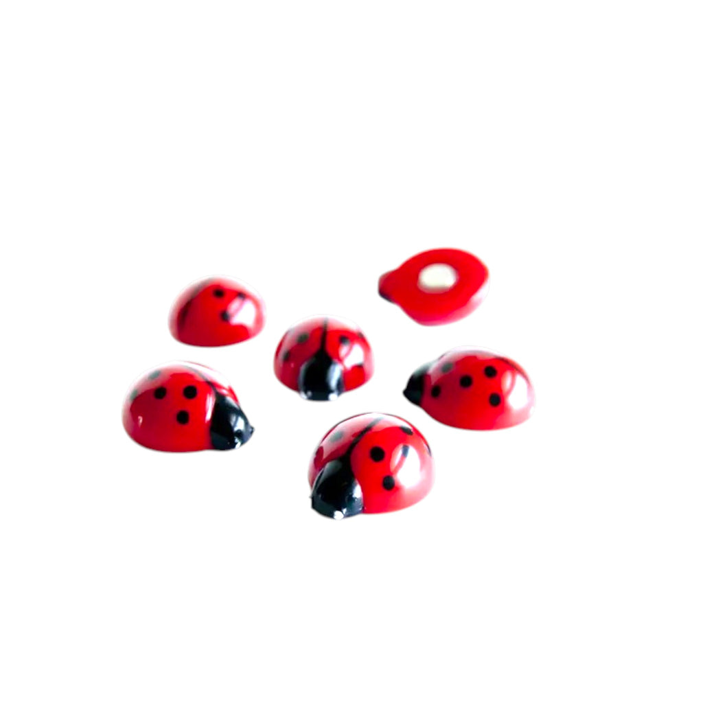 Magneten lieveheersbeestjes