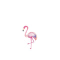 Tijdelijke tatoeage - Flamingo (5 stuks)