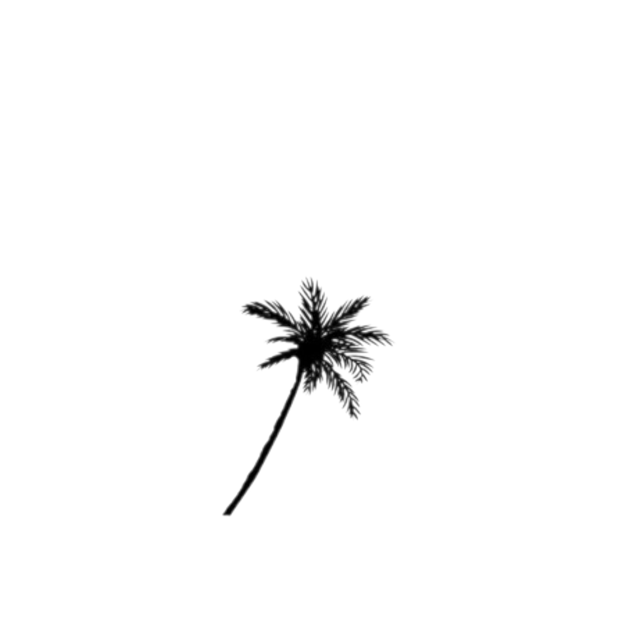 Tijdelijke tatoeage - Palmboom (5 stuks)
