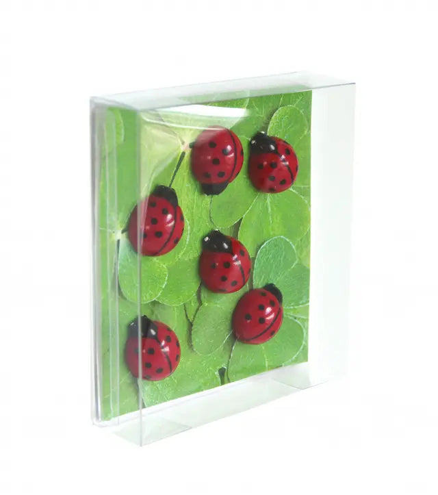 Magneten lieveheersbeestjes